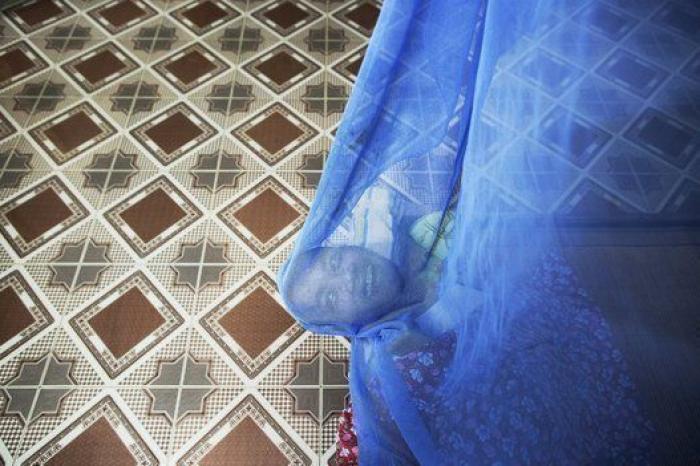 40 años de agente naranja en Vietnam