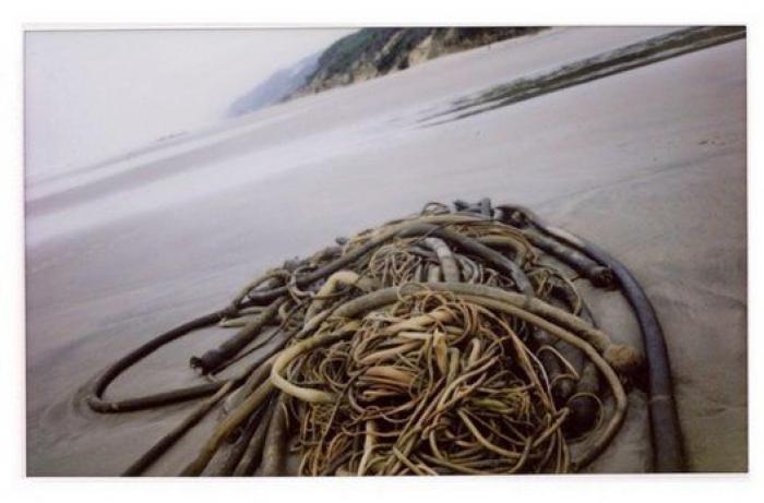 Hawkeye Huey, el fotógrafo de 5 años que triunfa en Instagram