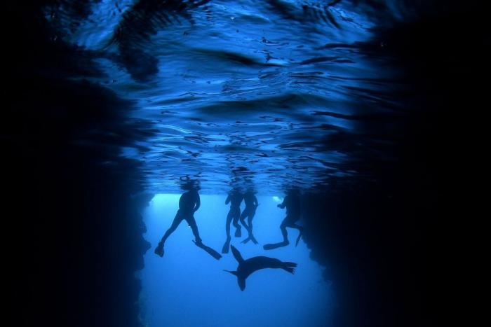 El joven en llamas, la historia detrás de la foto del año del World Press Photo