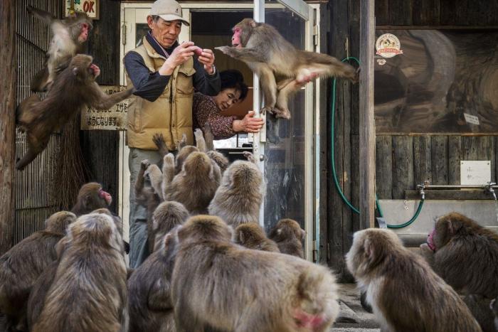El joven en llamas, la historia detrás de la foto del año del World Press Photo