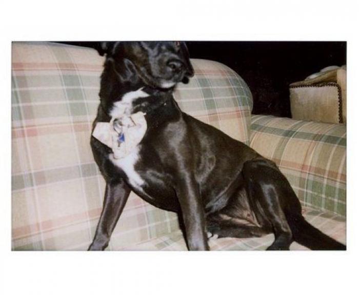 Hawkeye Huey, el fotógrafo de 5 años que triunfa en Instagram