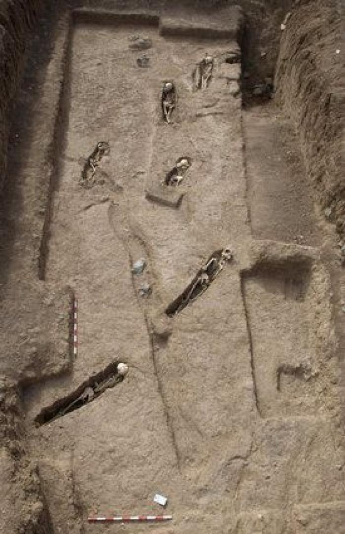 Países Bajos se disculpa por sus 250 años de esclavitud transatlántica