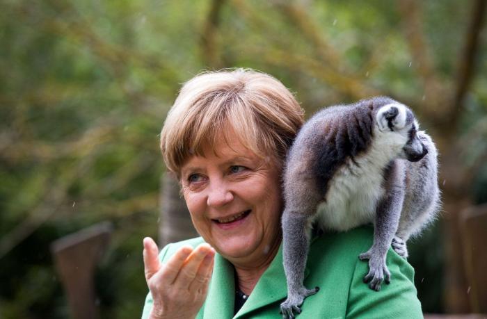 Muchos no pueden creerse lo que pasa con Merkel en esta foto