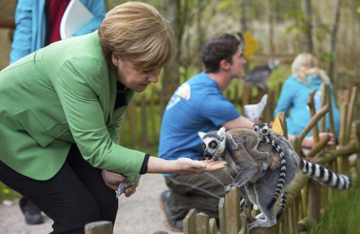 Muchos no pueden creerse lo que pasa con Merkel en esta foto