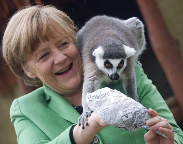 Muchos no pueden creerse lo que pasa con Merkel en esta foto