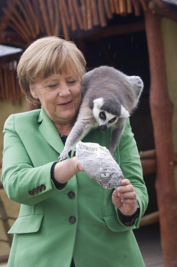 Muchos no pueden creerse lo que pasa con Merkel en esta foto