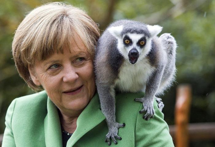 Muchos no pueden creerse lo que pasa con Merkel en esta foto