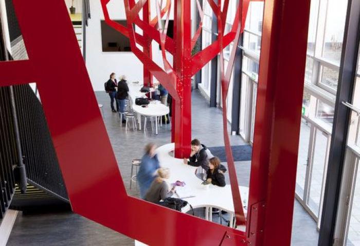 ¡Abajo las paredes! Así es la arquitectura de Rosan Bosch