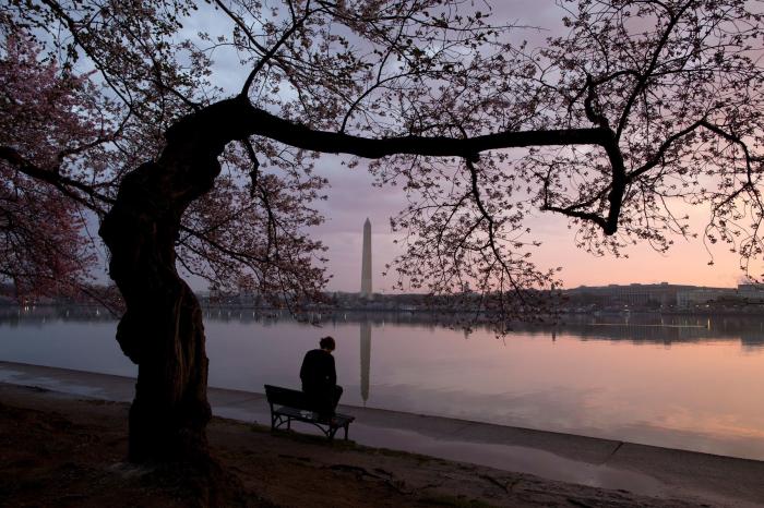 Las FOTAZAS del estallido de la primavera