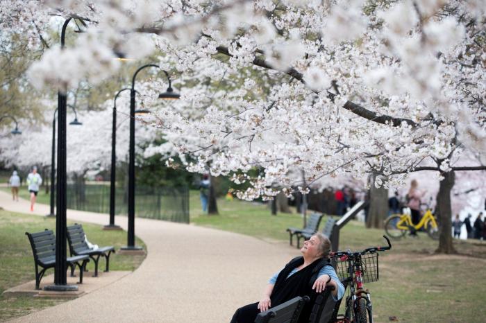 Las FOTAZAS del estallido de la primavera