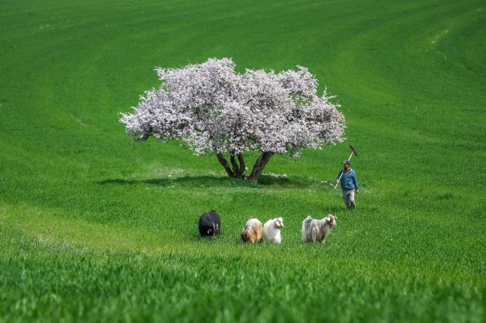 Las FOTAZAS del estallido de la primavera