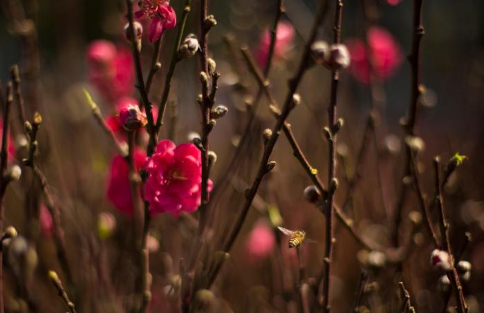 Las FOTAZAS del estallido de la primavera