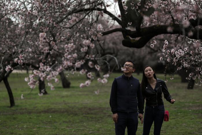 Las FOTAZAS del estallido de la primavera