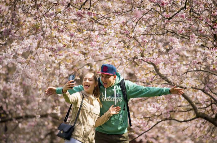 Las FOTAZAS del estallido de la primavera