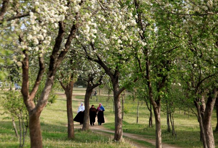 Las FOTAZAS del estallido de la primavera