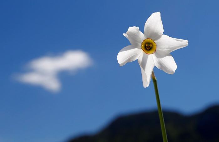 Las FOTAZAS del estallido de la primavera
