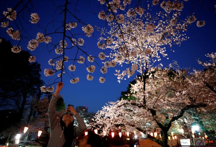 Las FOTAZAS del estallido de la primavera