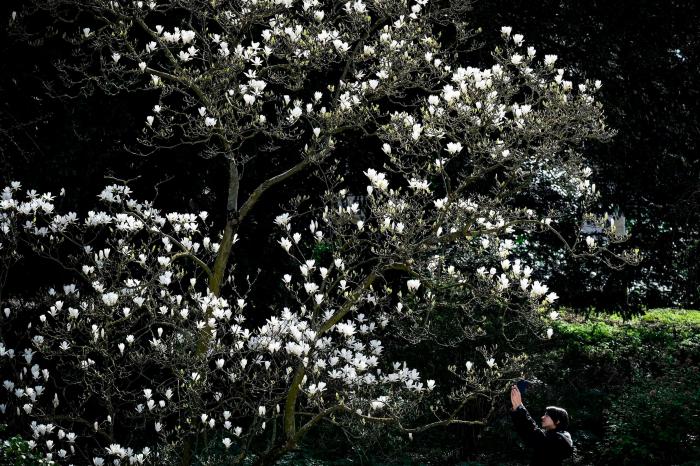 Las FOTAZAS del estallido de la primavera
