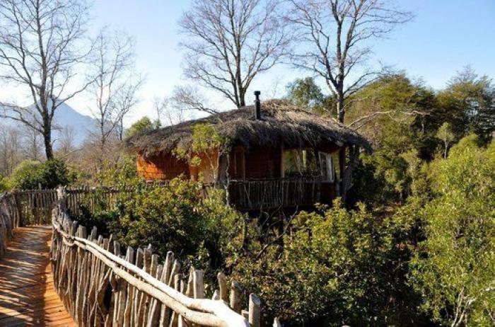 Hoteles para irse por las ramas