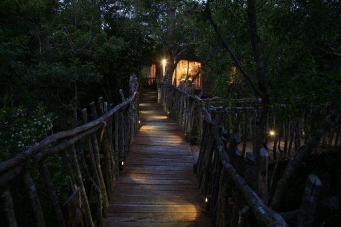 Hoteles para irse por las ramas