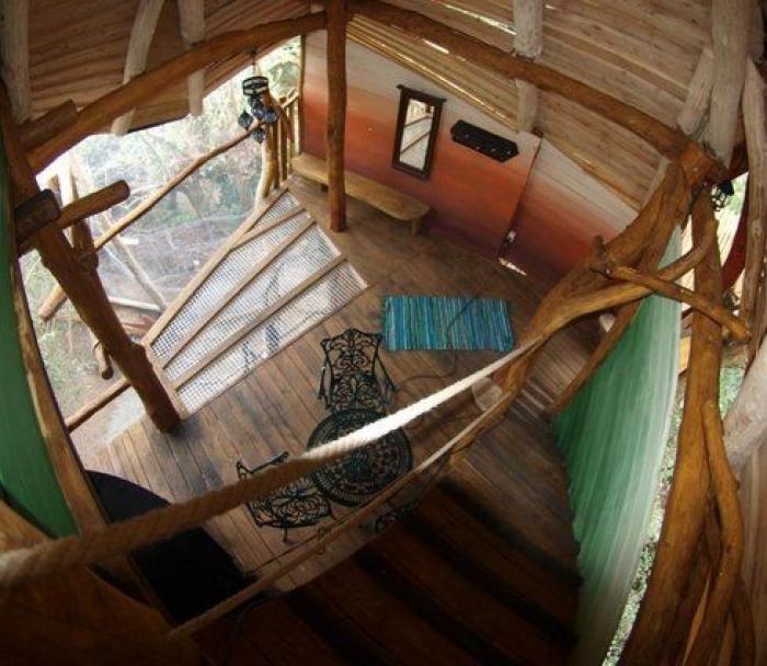 Hoteles para irse por las ramas