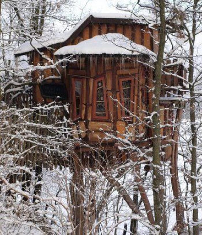 Hoteles para irse por las ramas