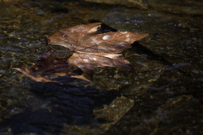 30 fotos espectaculares del temporal de nieve