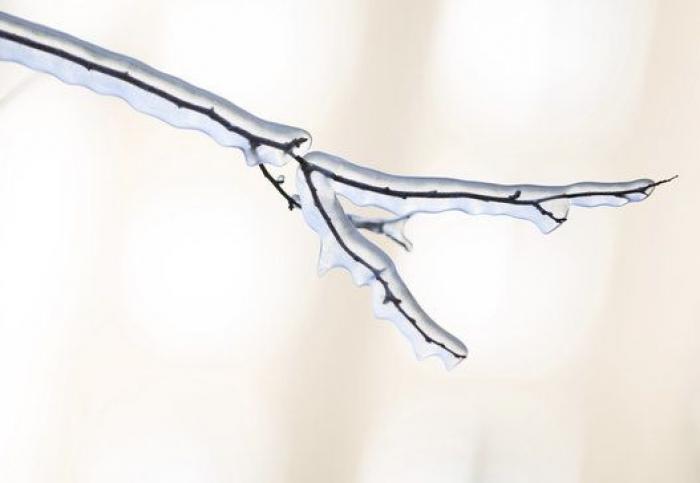 30 fotos espectaculares del temporal de nieve