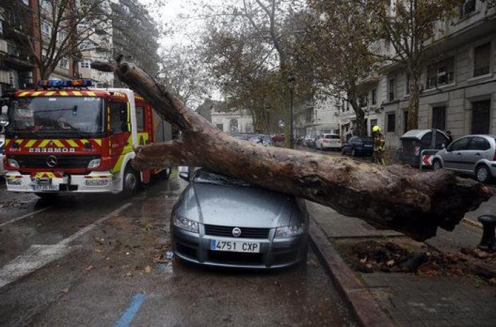 30 fotos espectaculares del temporal de nieve