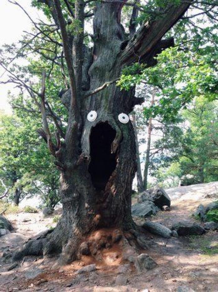 Cuando las hijas inspiran al diseñador: las creaciones de Lucas Zanotto (FOTOS)