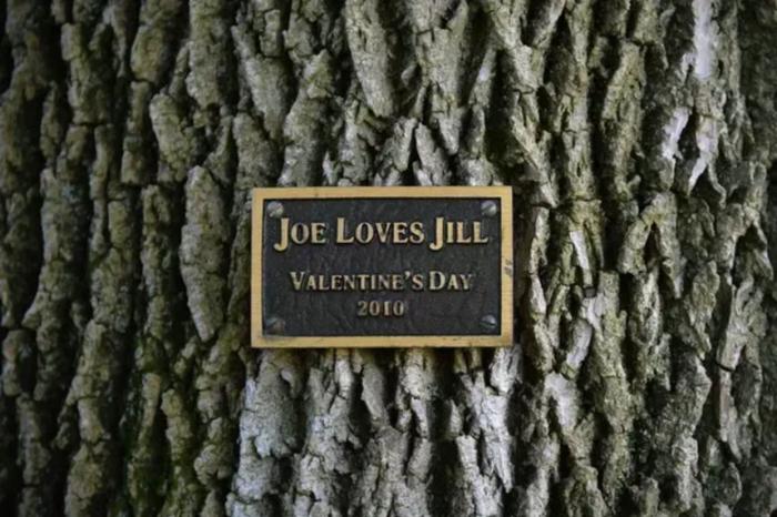 Así es la casa en la que vivirá Kamala Harris como vicepresidenta