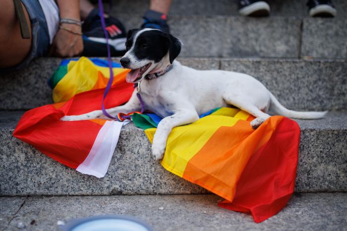 Chanel da el pregón del Orgullo en Madrid con un discurso contra la LGTBIfobia digno de 12 puntos