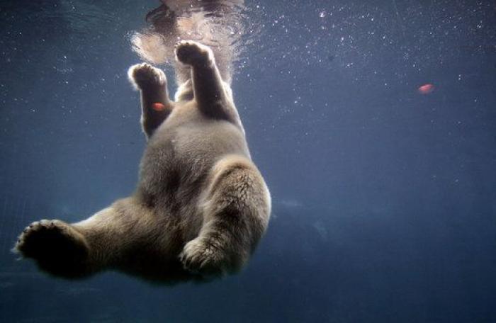 50 fotos que definieron la pasada década