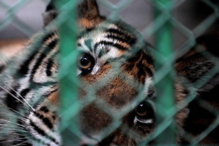 50 fotos que definieron la pasada década