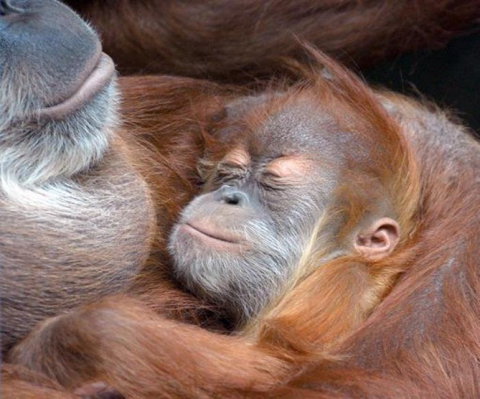 50 fotos que definieron la pasada década