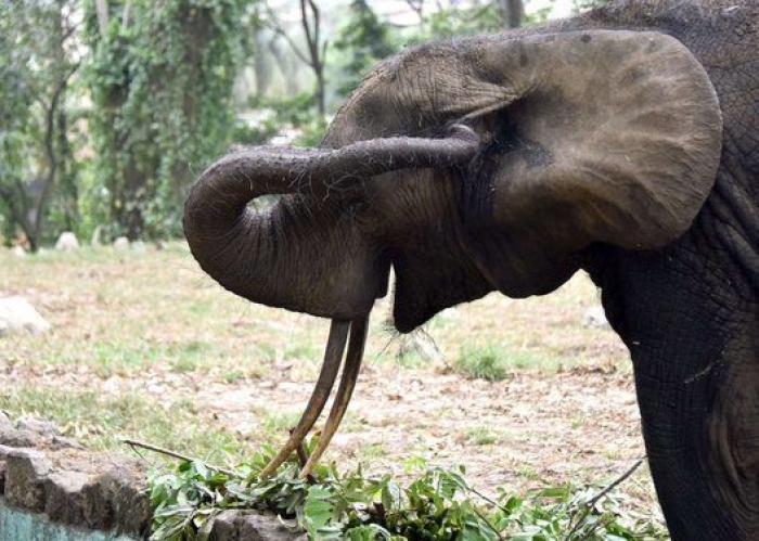 Los preparativos del cumpleaños de Buda en Corea del Sur y otras fotos del martes