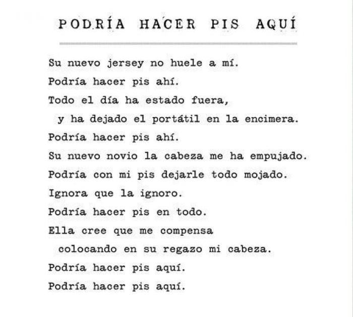 'Podría hacer pis aquí': cuando los gatos se convierten en poetas (GIFS)