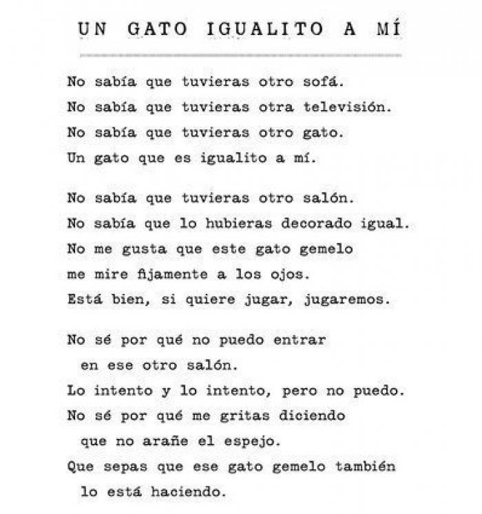 'Podría hacer pis aquí': cuando los gatos se convierten en poetas (GIFS)