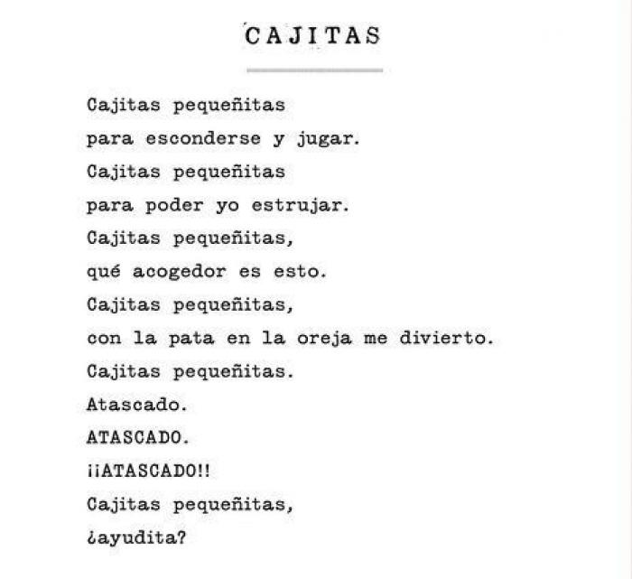 'Podría hacer pis aquí': cuando los gatos se convierten en poetas (GIFS)
