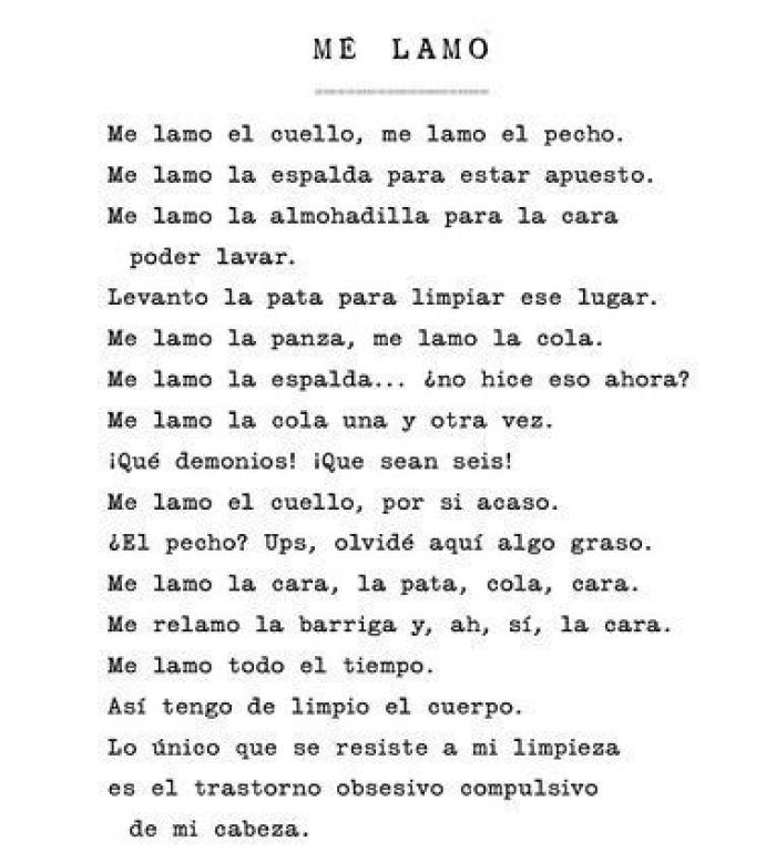 'Podría hacer pis aquí': cuando los gatos se convierten en poetas (GIFS)