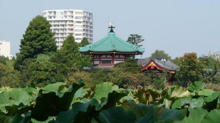 Los mejores parques y jardines para evadirse de la ciudad (FOTOS)