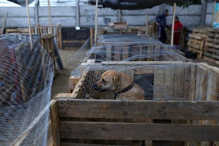 Las dolorosas imágenes que dejan los incendios de Chile