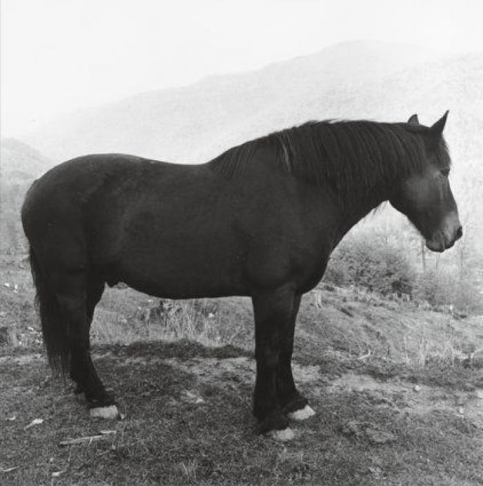 La Nueva York y el 'underground' de los setenta, capturado en 160 fotografías de Peter Hujar