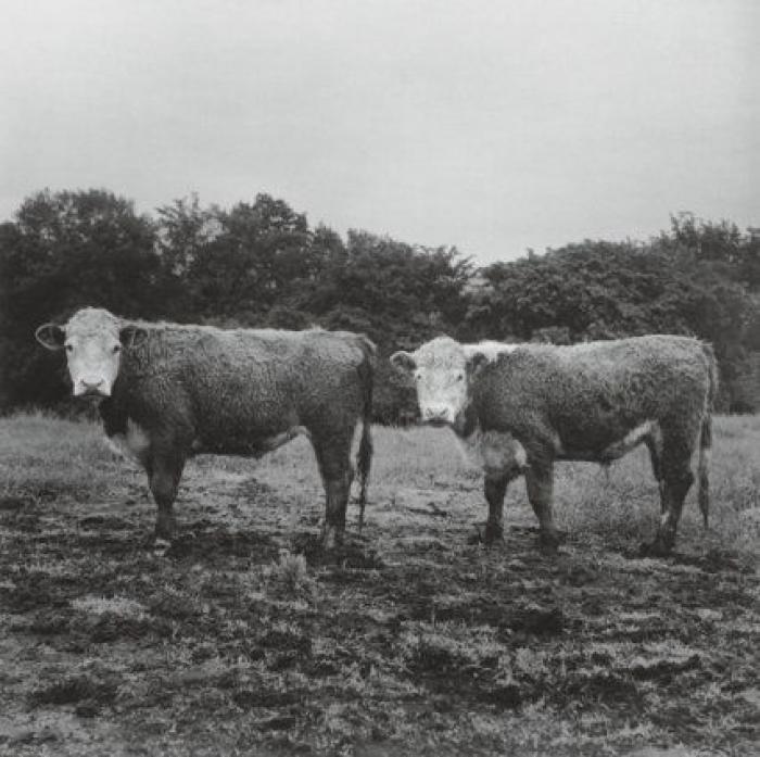 La Nueva York y el 'underground' de los setenta, capturado en 160 fotografías de Peter Hujar