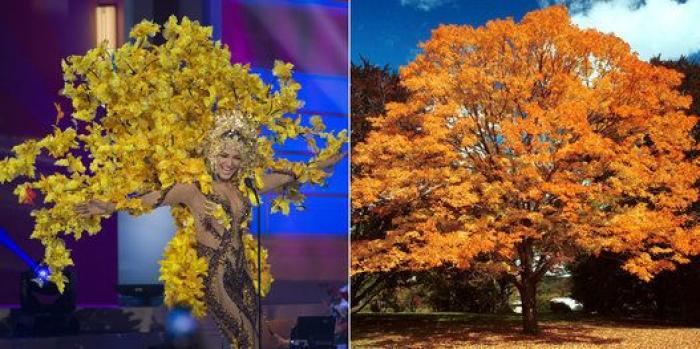 "Todas somos ganadoras", el alegato de las aspirantes a Miss Mundo en silla de ruedas
