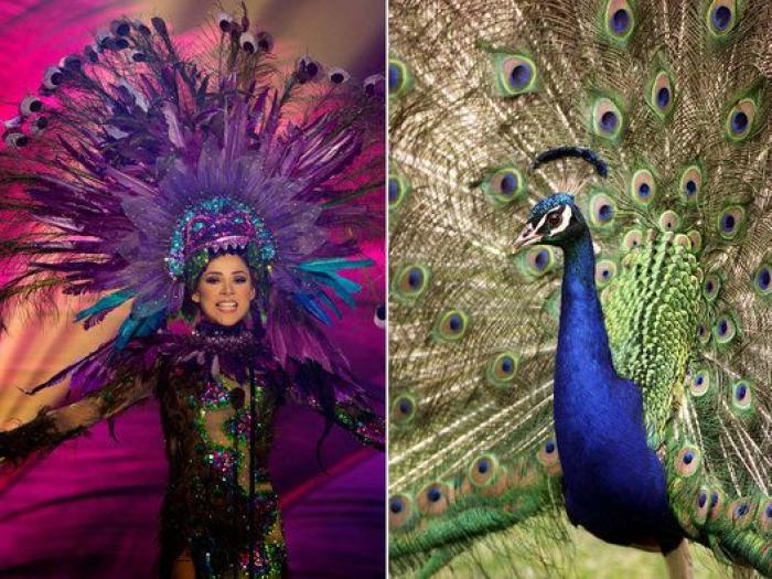 "Todas somos ganadoras", el alegato de las aspirantes a Miss Mundo en silla de ruedas