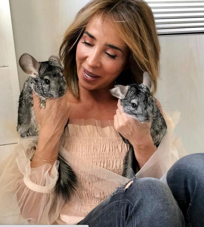 Vacaciones con perros en España - Dónde ir, mejores playas