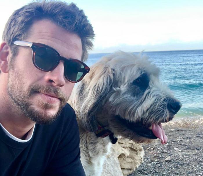 Vacaciones con perros en España - Dónde ir, mejores playas