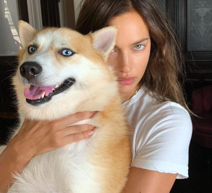 Vacaciones con perros en España - Dónde ir, mejores playas