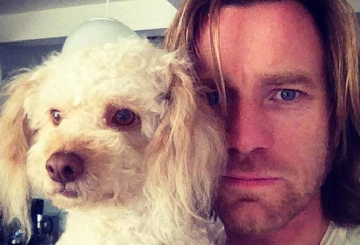 Vacaciones con perros en España - Dónde ir, mejores playas